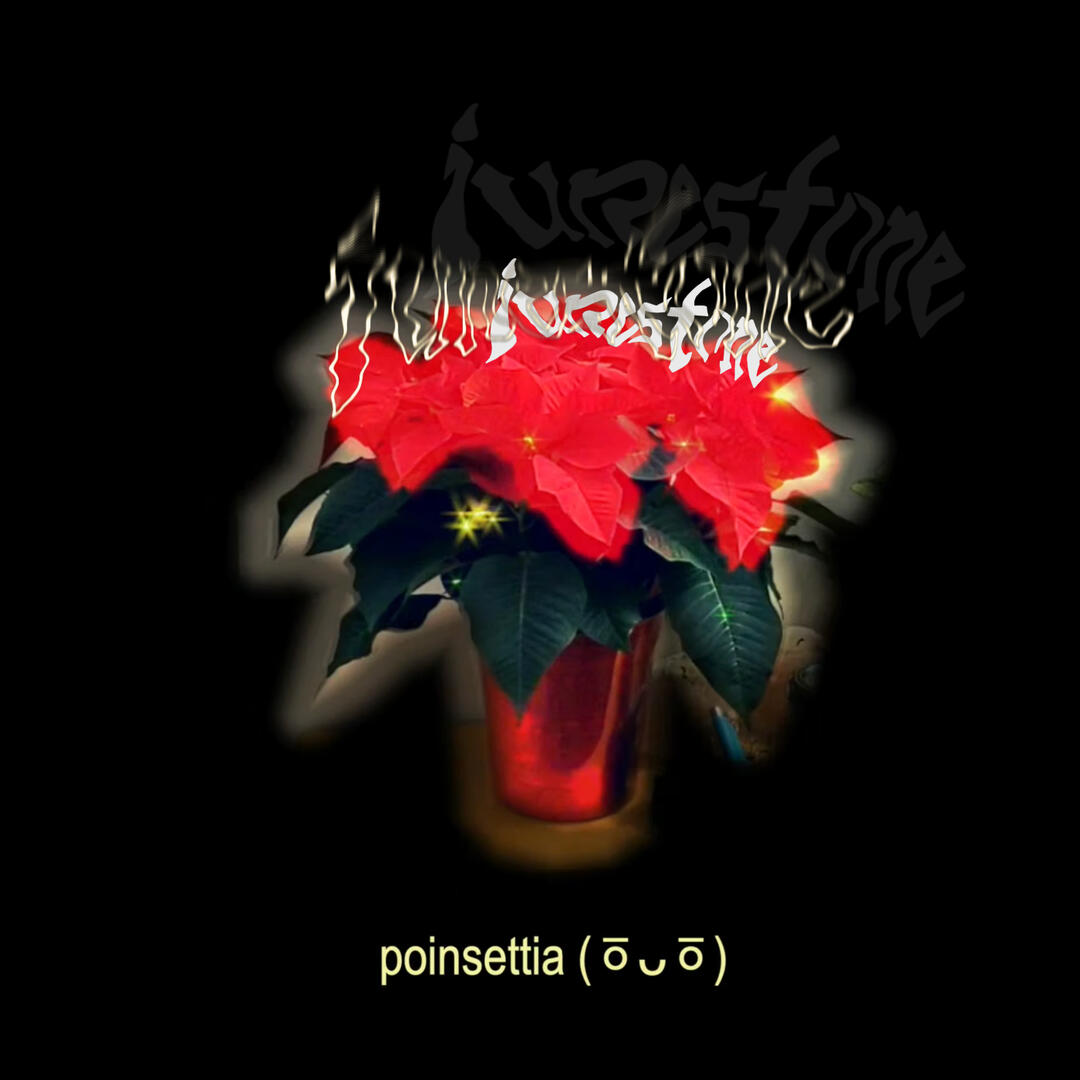 JUNESTONE 🗯️alt🦋funk